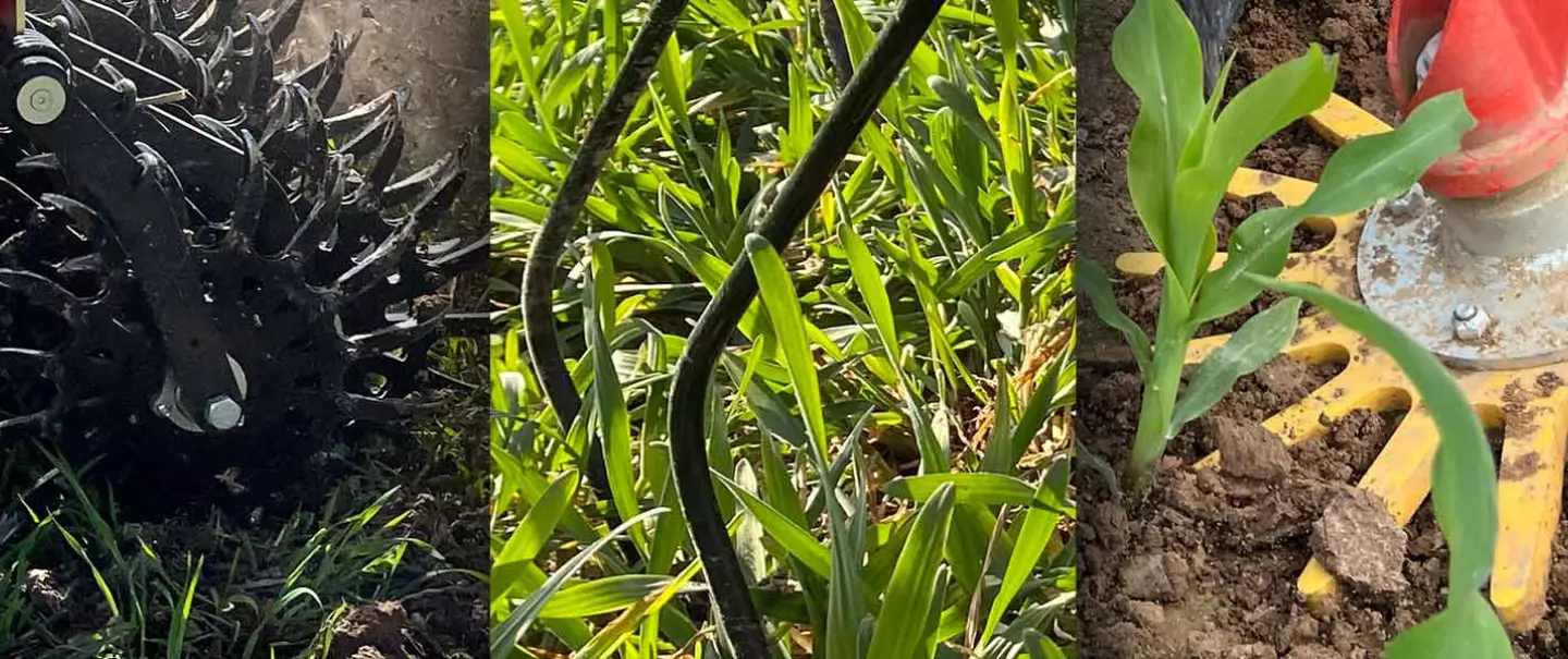 Gamme désherbage mécanique KUHN