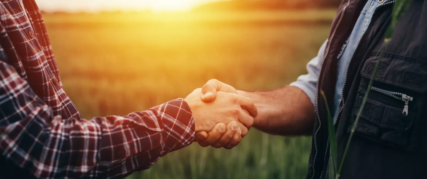 Offres avant-saison sol & semis