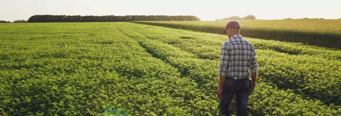 farmer with tablet facing challenges