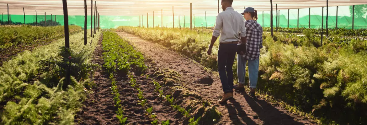 what is sustainable agriculture getting up close and personal with their crops